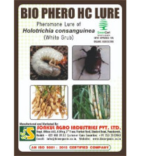 Combo Pack of Bio Phero HC (White Grub) Lure & Water trap set (Pack of 5 Pieces)